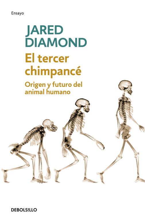 El tercer Chimpancé