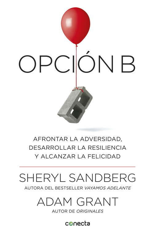 OPCION B