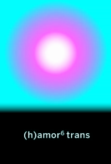 (H)AMOR 6 TRANS