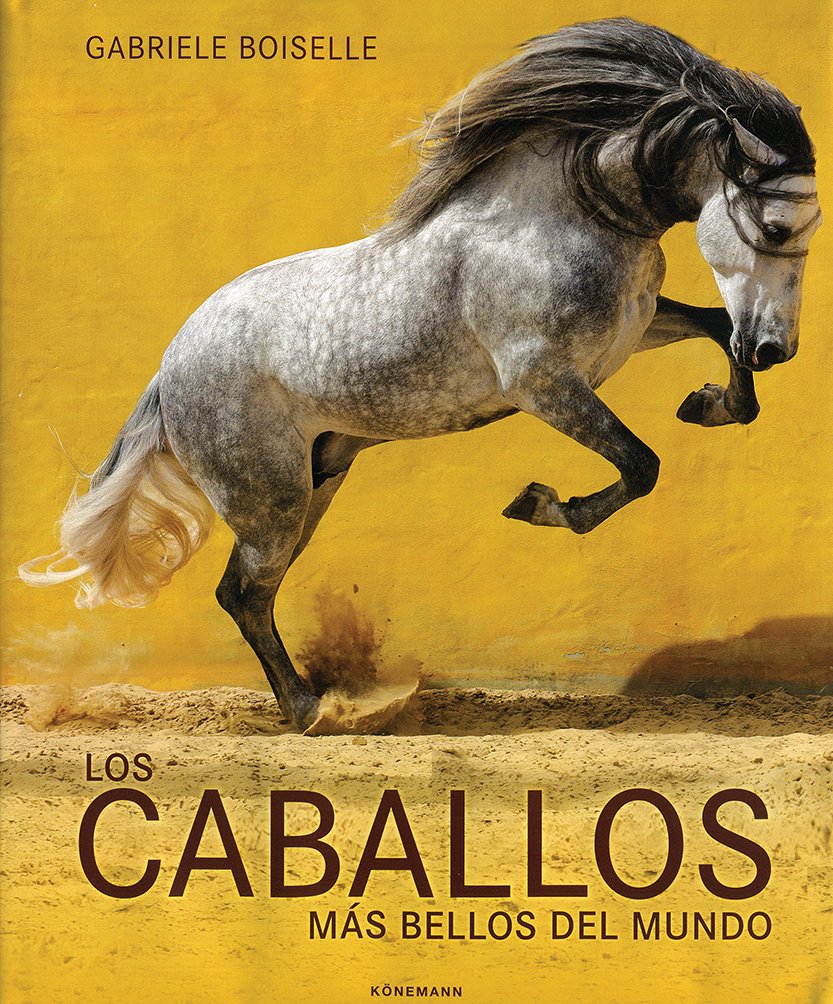 CABALLOS MAS BELLOS DEL MUNDO, LOS