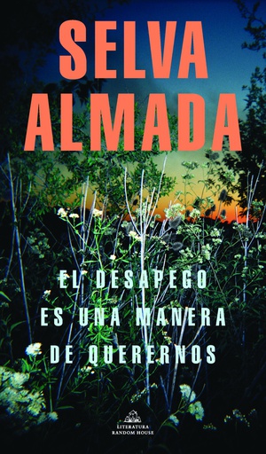 DESAPEGO ES UNA MANERA DE QUERERNOS, EL